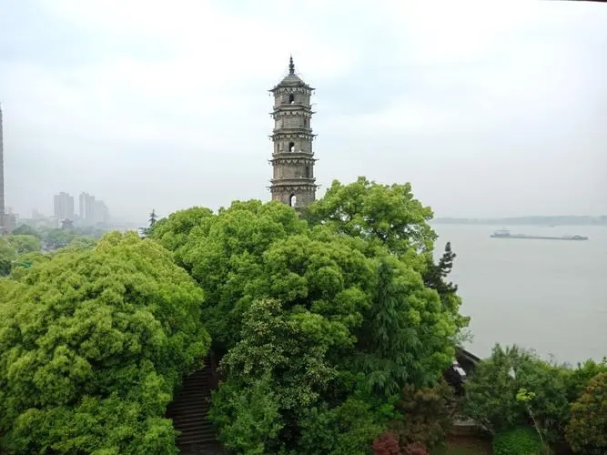 &#31859;&#20848;&#23448;&#26041;&#32593;&#39029;&#29256;&#45;&#31859;&#20848;&#40;&#20013;&#22269;&#41;